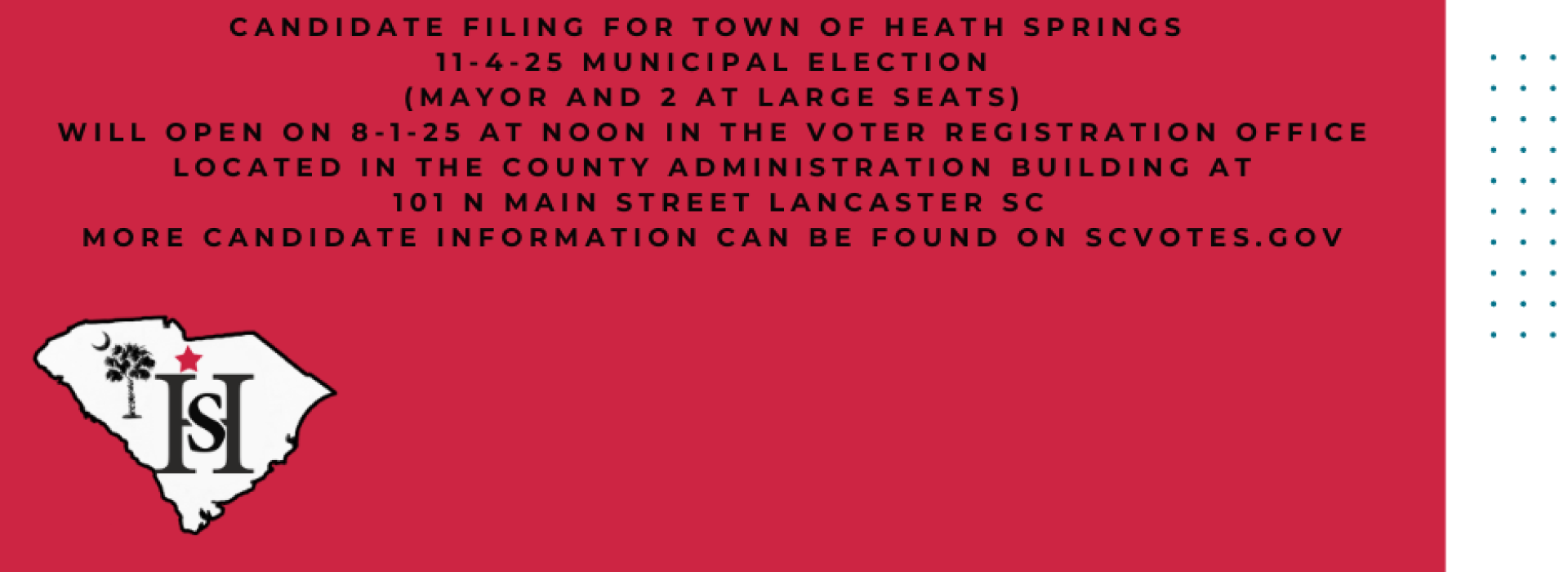 Election Flyer