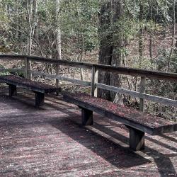 Park Benches