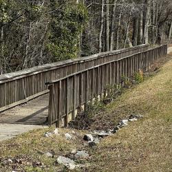 Bridge